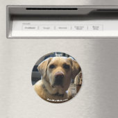 Ruger Magnet (In Situ (Geschirrspüler))