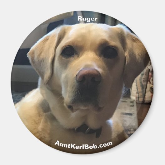 Ruger Magnet (Vorne)