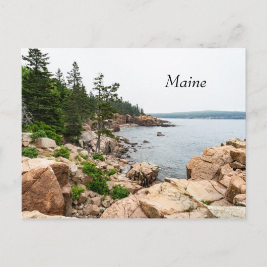 Rugged Maine Küste in Acadia Nationalpark Postkarte (Vorderseite)