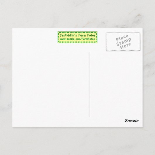 Rugged Stall Postcard Postkarte (Rückseite)