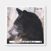 Ruggles Magnet (Vorne)