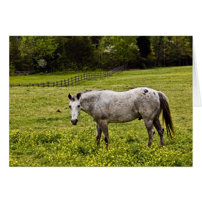 Ruhe (Vorderseite (Horizontal))