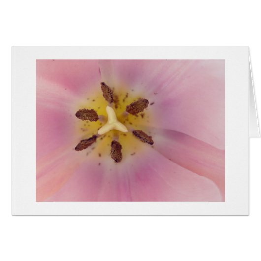 Ruhe (Vorderseite (Horizontal))