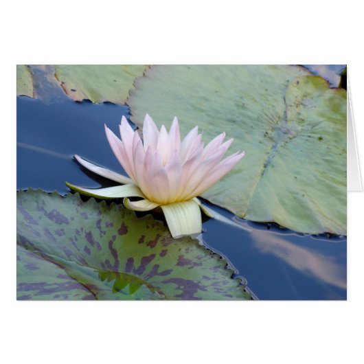 Ruhe (Vorderseite (Horizontal))