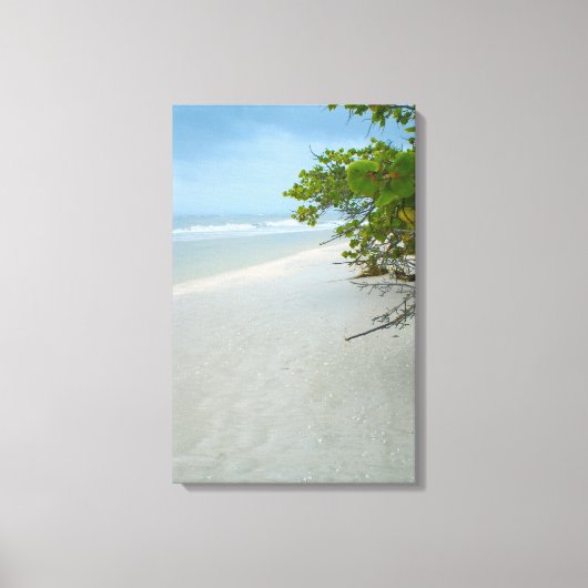 Ruhe auf der Insel Sanibel Leinwand (Vorderseite)
