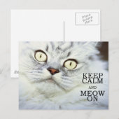 Ruhe behalt und Meow On Postkarte (Vorne/Hinten)