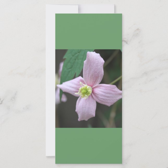 Ruhe behalten und lest auf, rosa Gartenanlage Blum (Vorderseite)