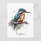 Ruhe des Eisvogels Postkarte (Vorderseite)