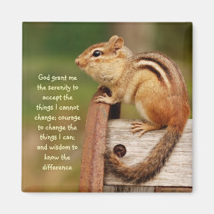 Ruhe-Gebetchipmunk-Magnet Magnet