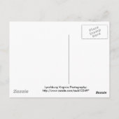 Ruhe im Tal Postkarte (Rückseite)