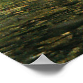 Ruhe im Wald...... Poster (Ecke)