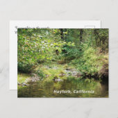 Ruhe im Wald....... Postkarte (Vorne/Hinten)