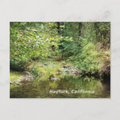 Ruhe im Wald....... Postkarte (Vorderseite)