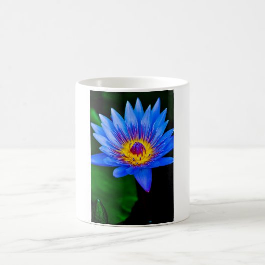 Ruhe Kaffeetasse (Mittel)