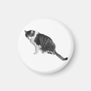 Ruhe-Katzen-Magnet lädt Frieden in Wohnräume ein Magnet