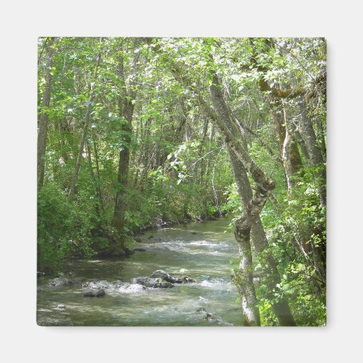 Ruhe.... Magnet (Vorne)