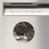 Ruhe ! magnet (In Situ (Geschirrspüler))