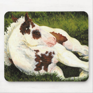 Ruhe - malen Sie Pferdefohlen Mousepad