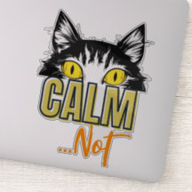 Ruhe...nicht. Die vielen Stimmungen der Katze