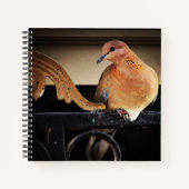 Ruhe Notizblock (Vorderseite)