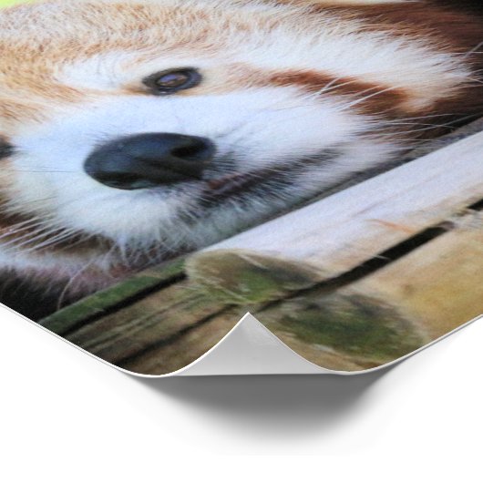 Ruhe Poster (Ecke)