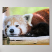 Ruhe Poster (Vorne)