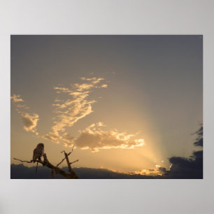 Ruhe Poster