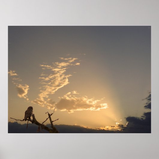 Ruhe Poster (Vorne)