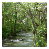 Ruhe.... Poster (Vorderseite)