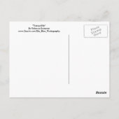 Ruhe Postkarte (Rückseite)