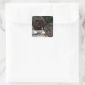 Ruhe ! quadratischer aufkleber (Tasche)