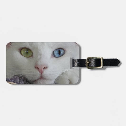 Ruhe-Reisender Gepäckanhänger (Vorderseite horizontal)