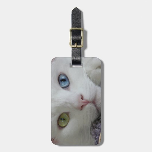 Ruhe-Reisender Gepäckanhänger (Vorderseite vertikal)