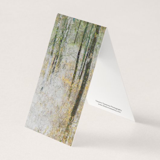 "Ruhe" - Umgestaltetes Foto von Bäumen in einem Wa (Vorderseite)