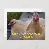 Ruhe und Hühner auf der Postkarte behalten (Vorne/Hinten)