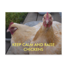 Ruhe und Hühner auf der Postkarte behalten