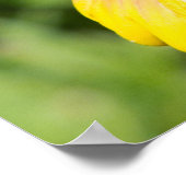 Ruhe und Kontrolle Poster (Ecke)