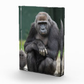 Ruhe und Stärke Gorilla Jungtier Fotoblock (Rechts)