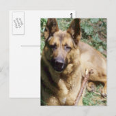 Ruheherde Postkarte (Vorne/Hinten)