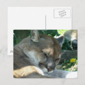 Ruhekopfkarte Postkarte (Vorne/Hinten)
