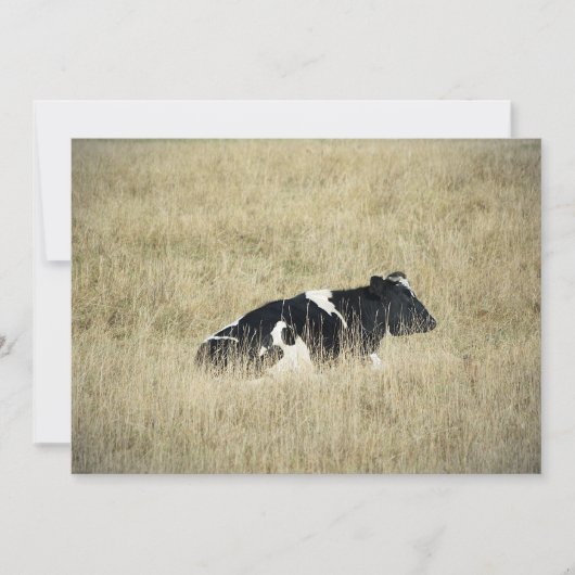 Ruhekuh - Einladung (Vorderseite)