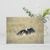 Ruhekuh - Einladung (Stehend Vorderseite)