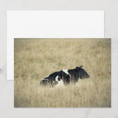 Ruhekuh - Einladung (Vorne/Hinten)