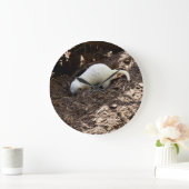 Ruheloser Hunger: Weißes Meerkat Graben für eine M Große Wanduhr (Zuhause)