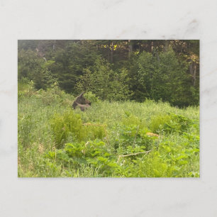 Ruhemodus Postkarte