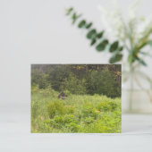 Ruhemodus Postkarte (Stehend Vorderseite)