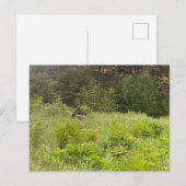 Ruhemodus Postkarte (Vorne/Hinten)