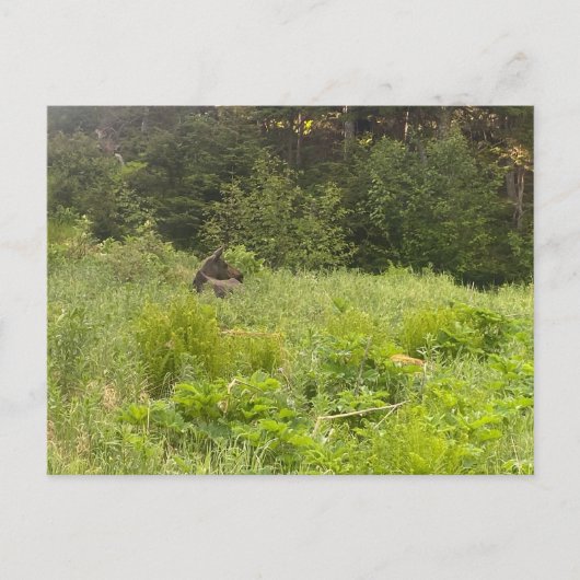 Ruhemodus Postkarte (Vorderseite)