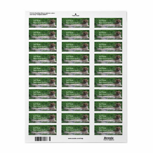 Ruhen des Cheetah-Mailing-Labels (Vorne)