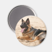 Ruhen des deutschen Schäferhundes Dog Magnet (Vorderseite/Rückseite)